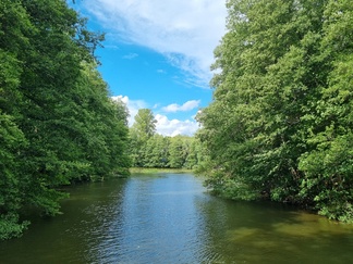 Mustionjoen näkymää pohjoiseen päin..