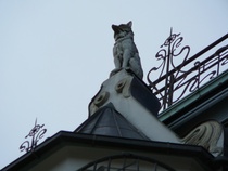 Riika, Koirien talo elokuu 2014